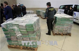Triệt phá mạng lưới buôn bán ma túy quốc tế từ Mỹ Latinh sang châu Âu